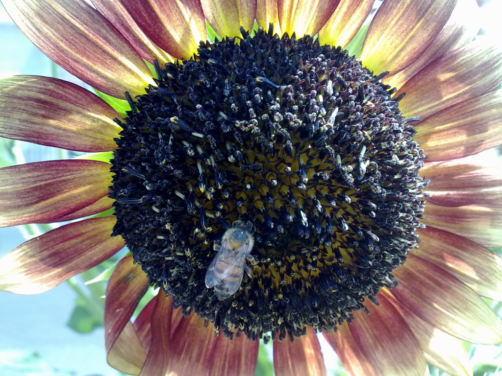 290520119345.jpg
