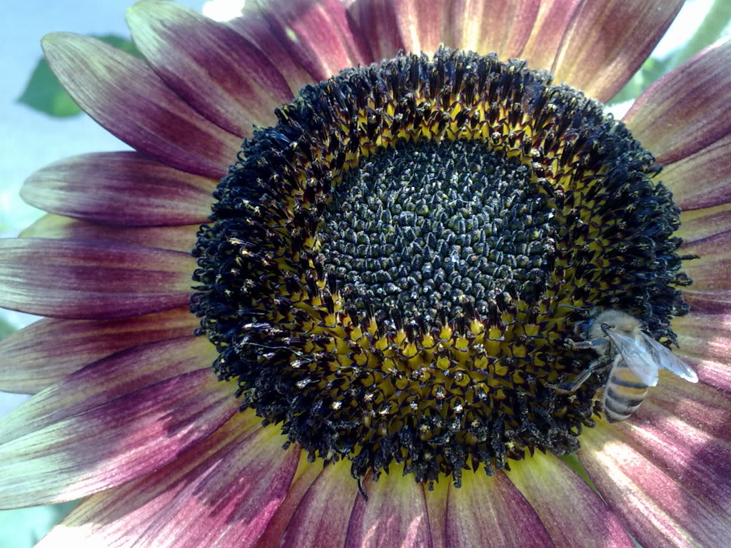 290520119346.jpg