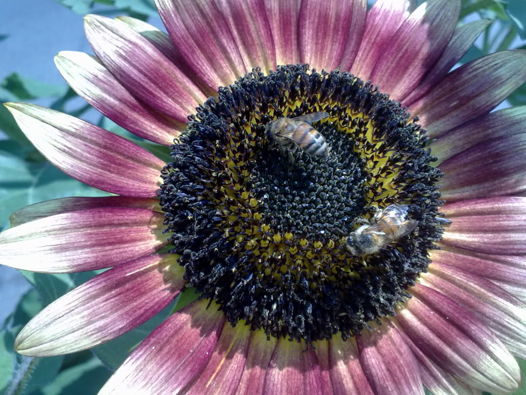 290520119349.jpg