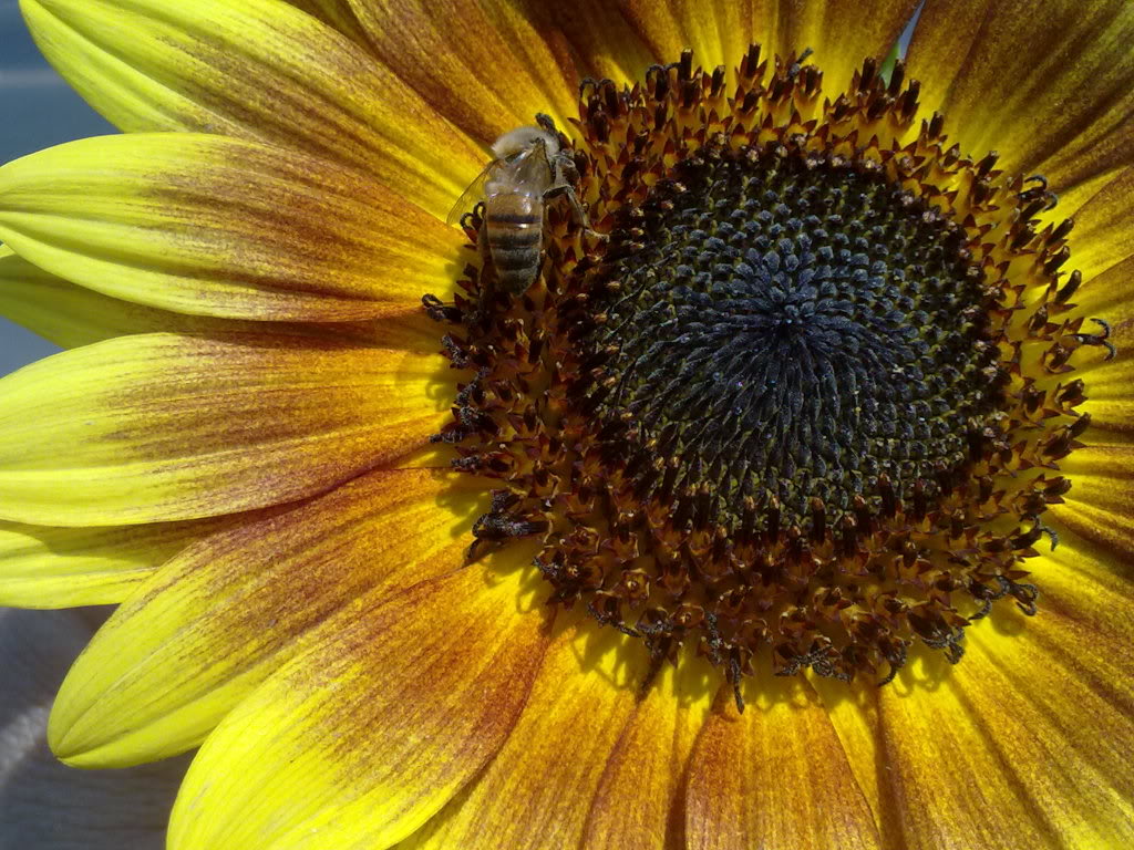 290520119352.jpg