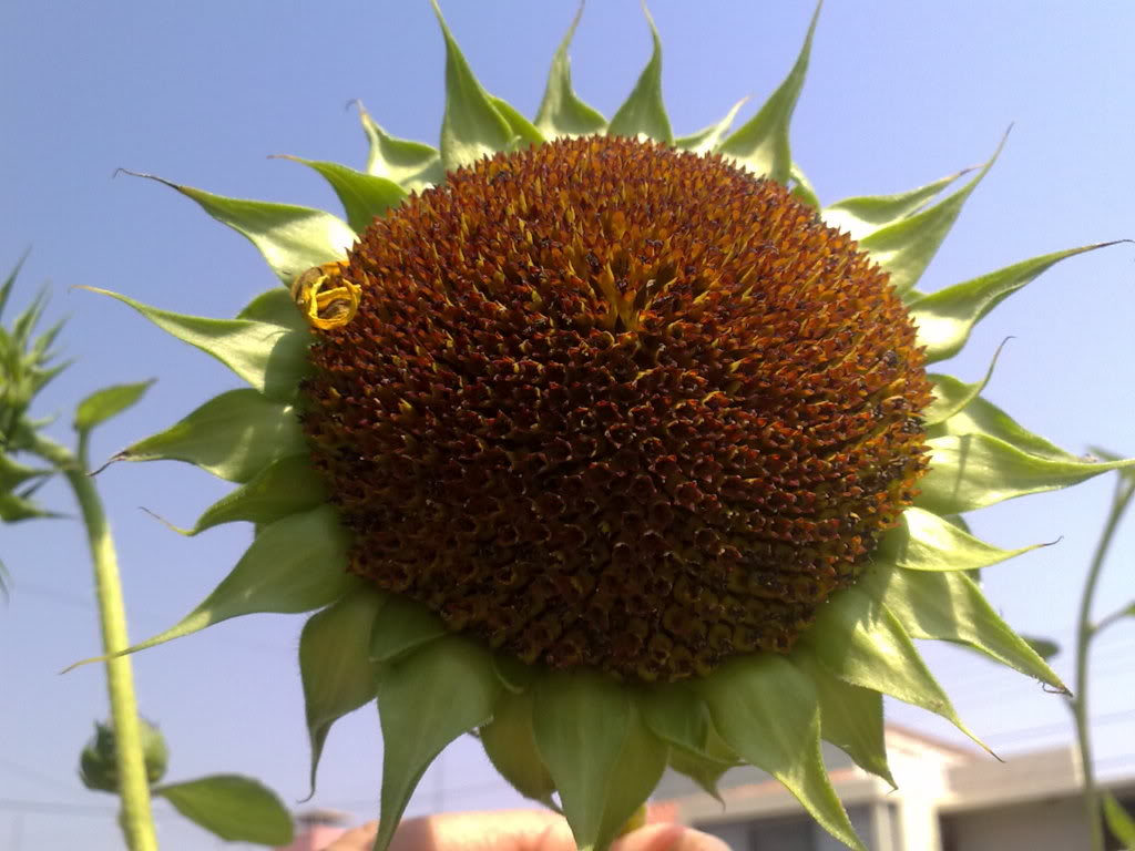 290520119353.jpg