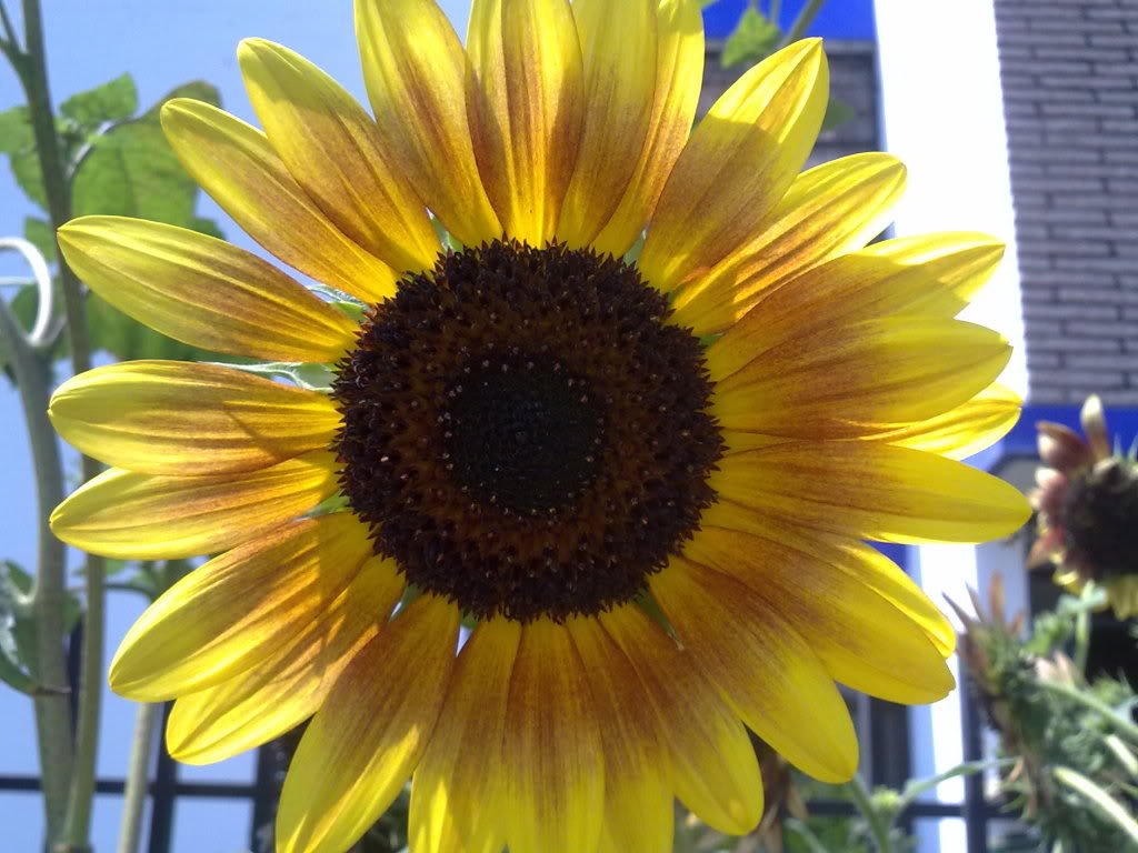 290520119358.jpg