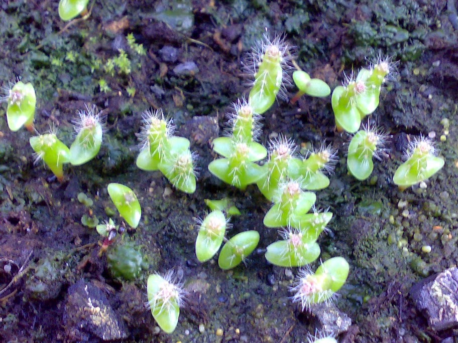 2905201212130.jpg