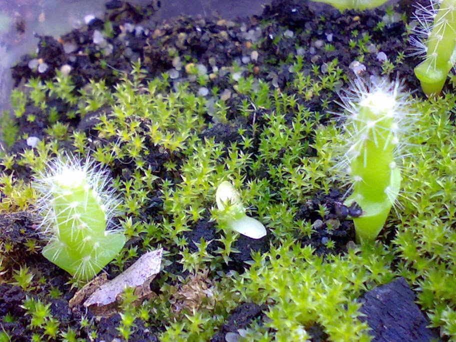 2905201212131.jpg