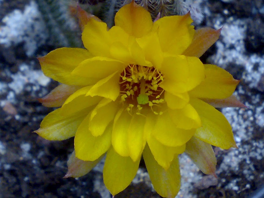 2905201212136.jpg