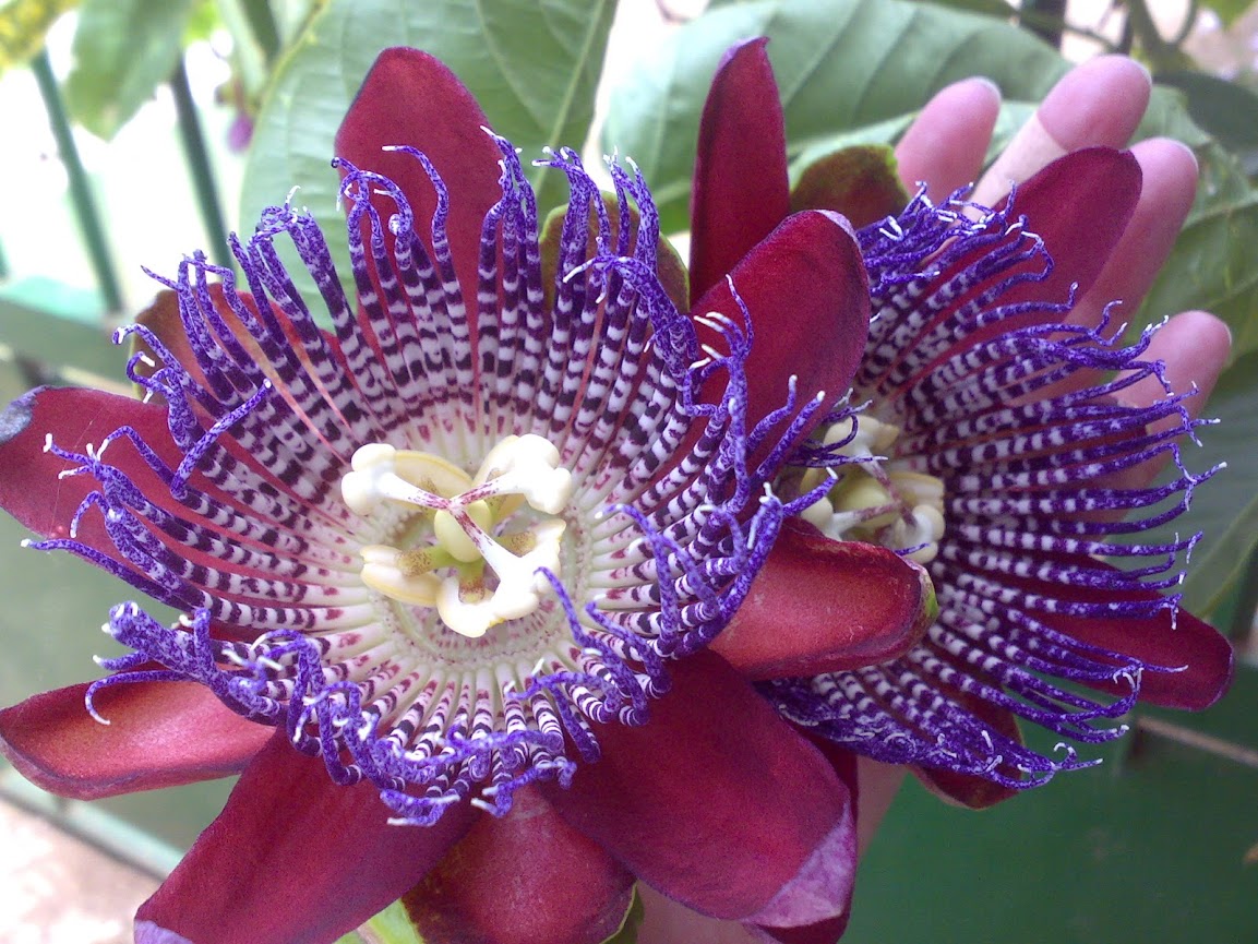 2906201212649.jpg