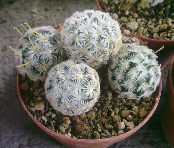 290720113559.jpg