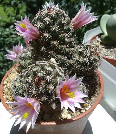 290720122239.jpg