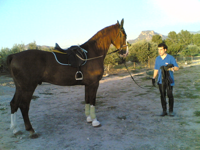 29082007(004).jpg