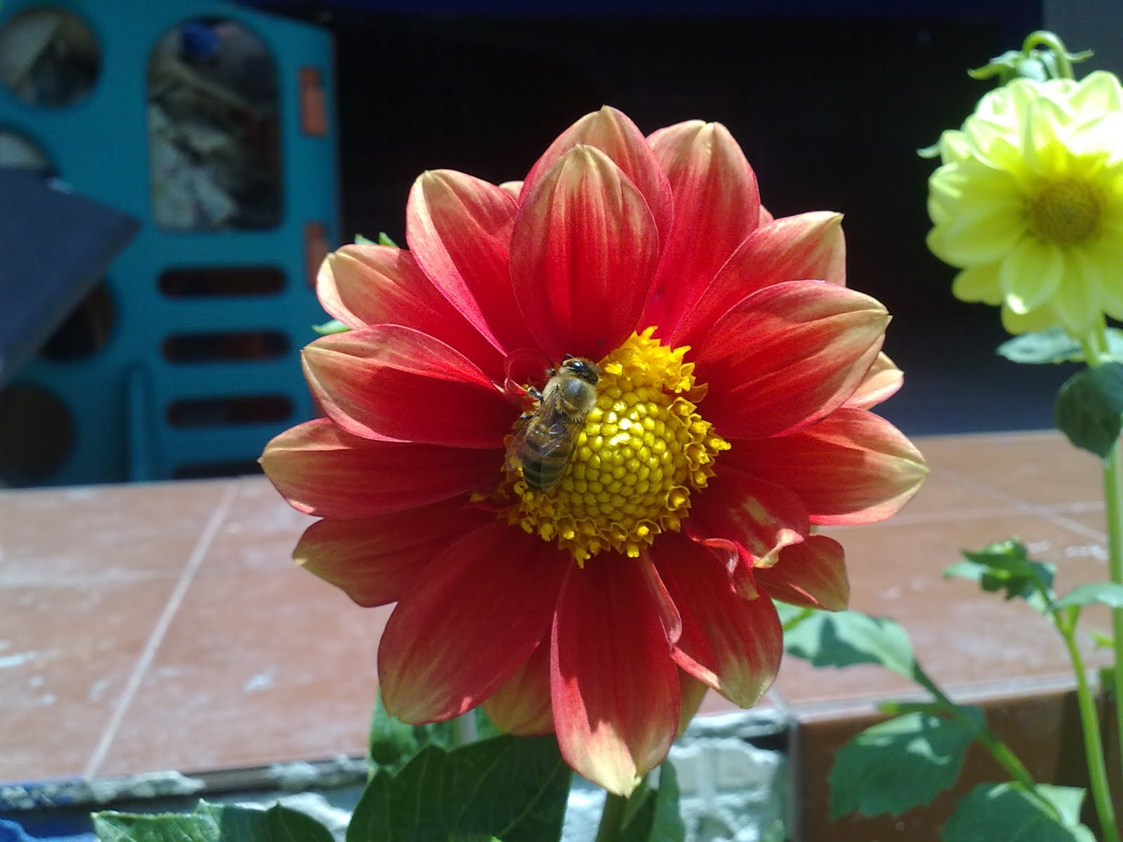 290820103132.jpg