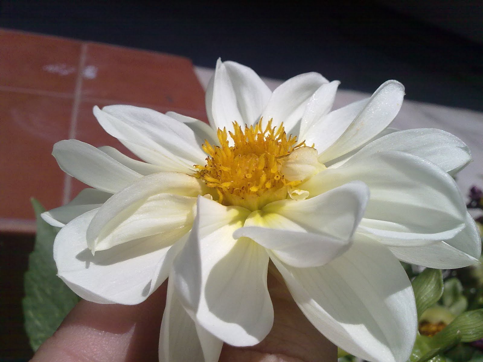 290820103138.jpg