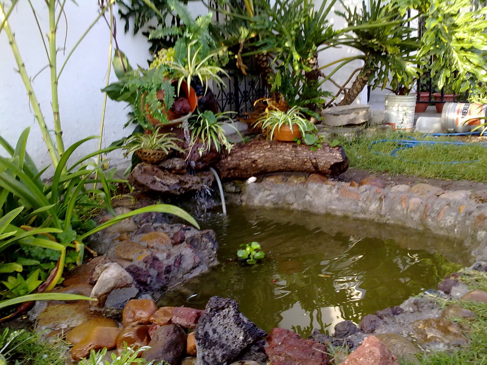 290820103168.jpg