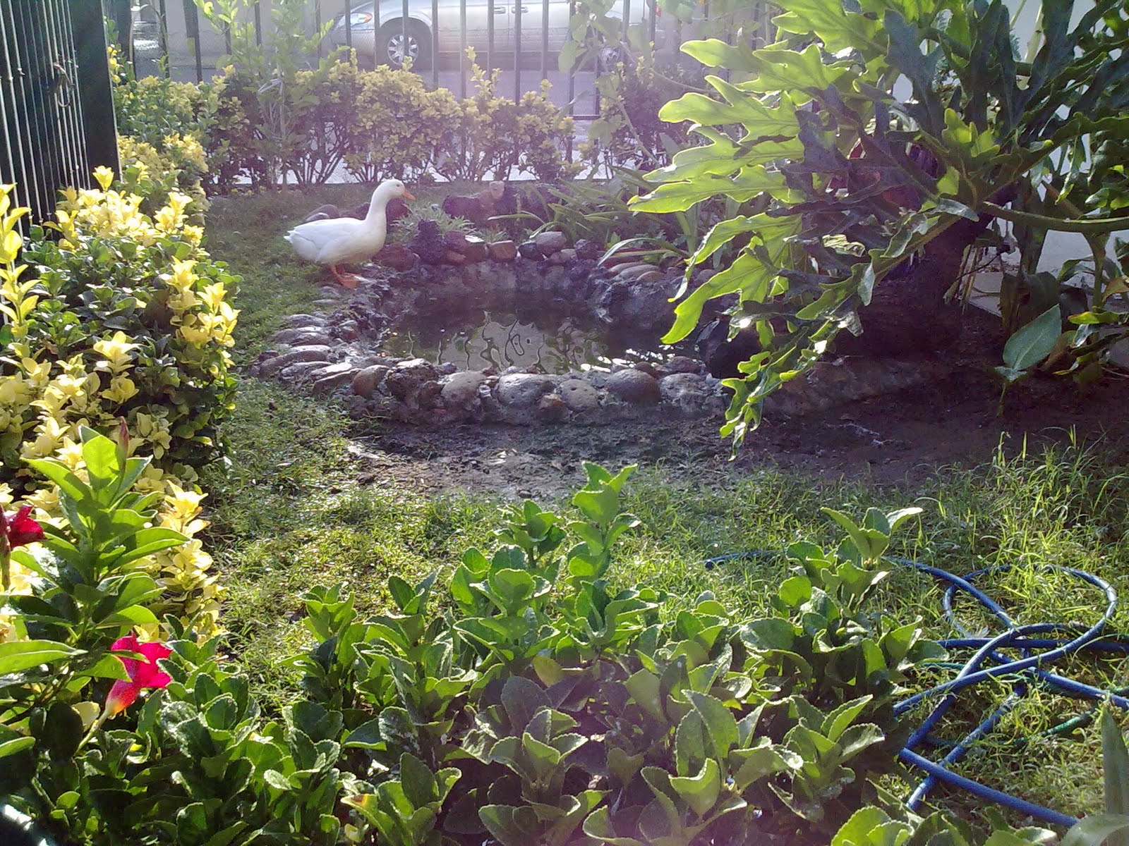 290820103177.jpg