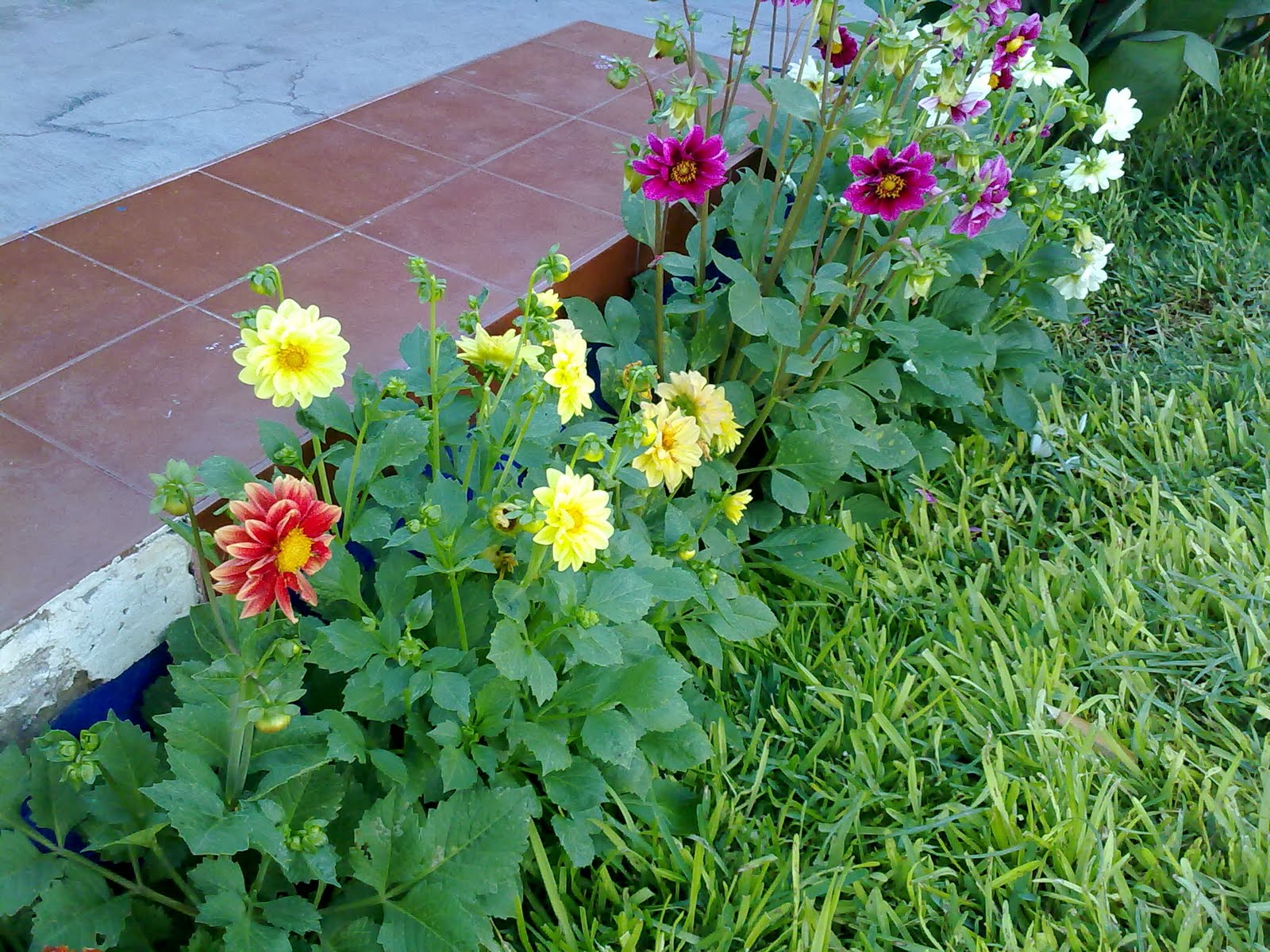 290820103178.jpg