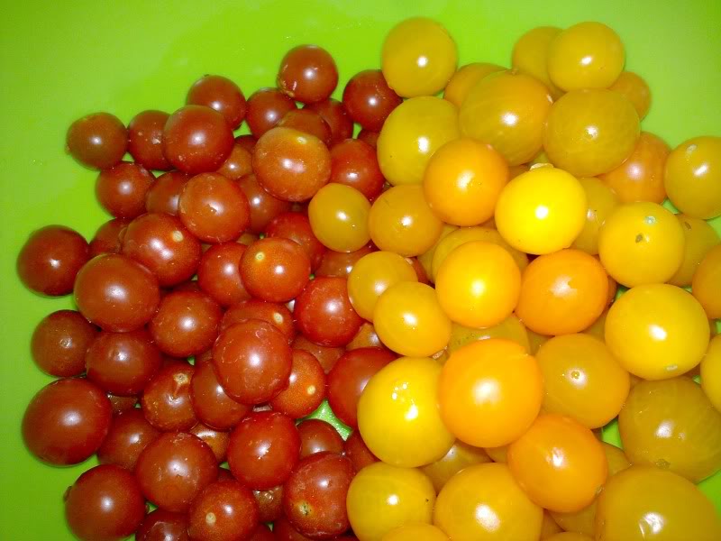 290820111657.jpg