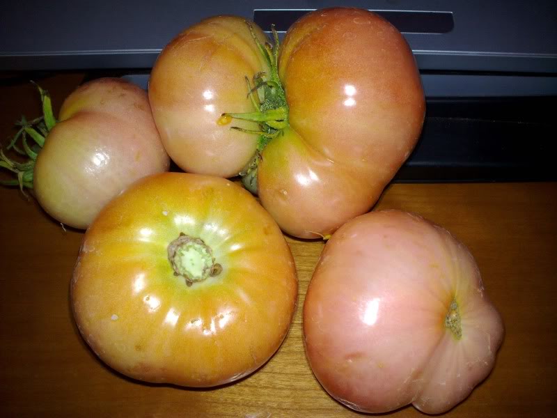 290820111661.jpg