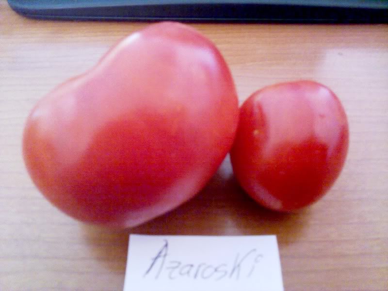 290820111671.jpg
