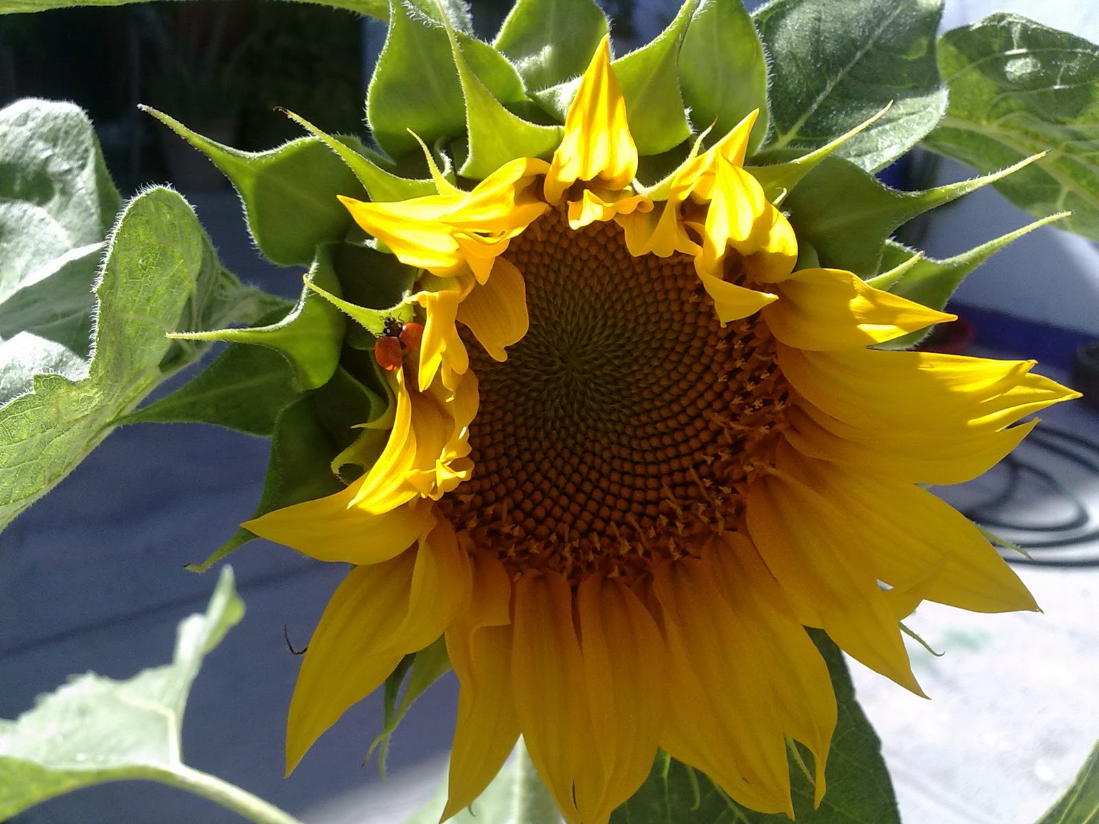 290920103809.jpg
