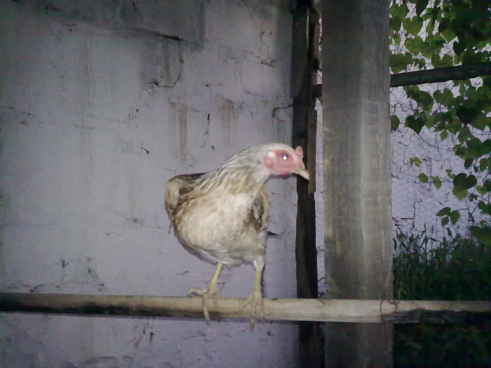 290920103821.jpg
