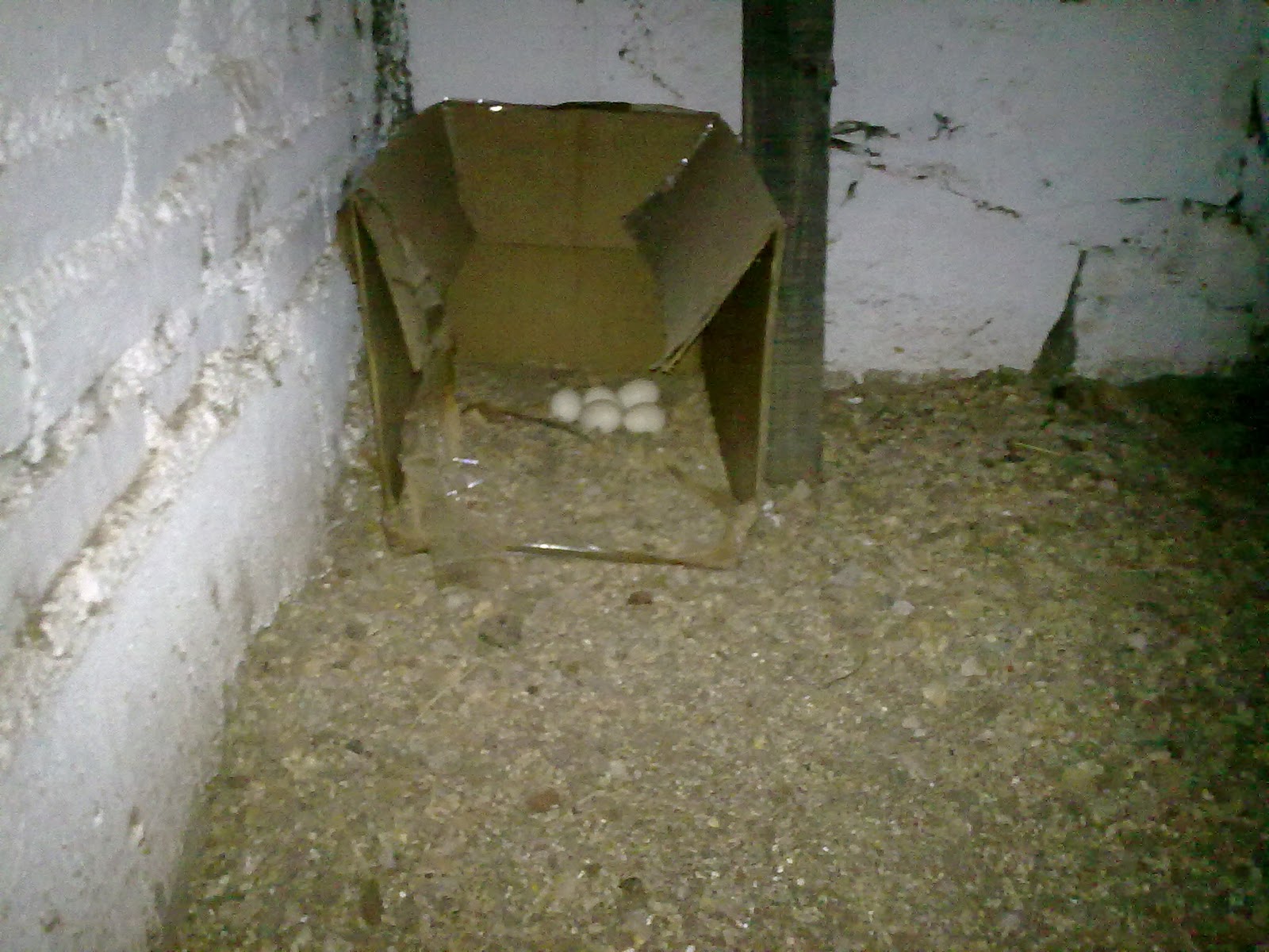 290920103823.jpg