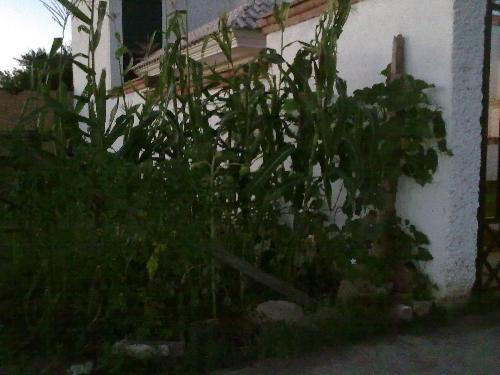 290920103828.jpg