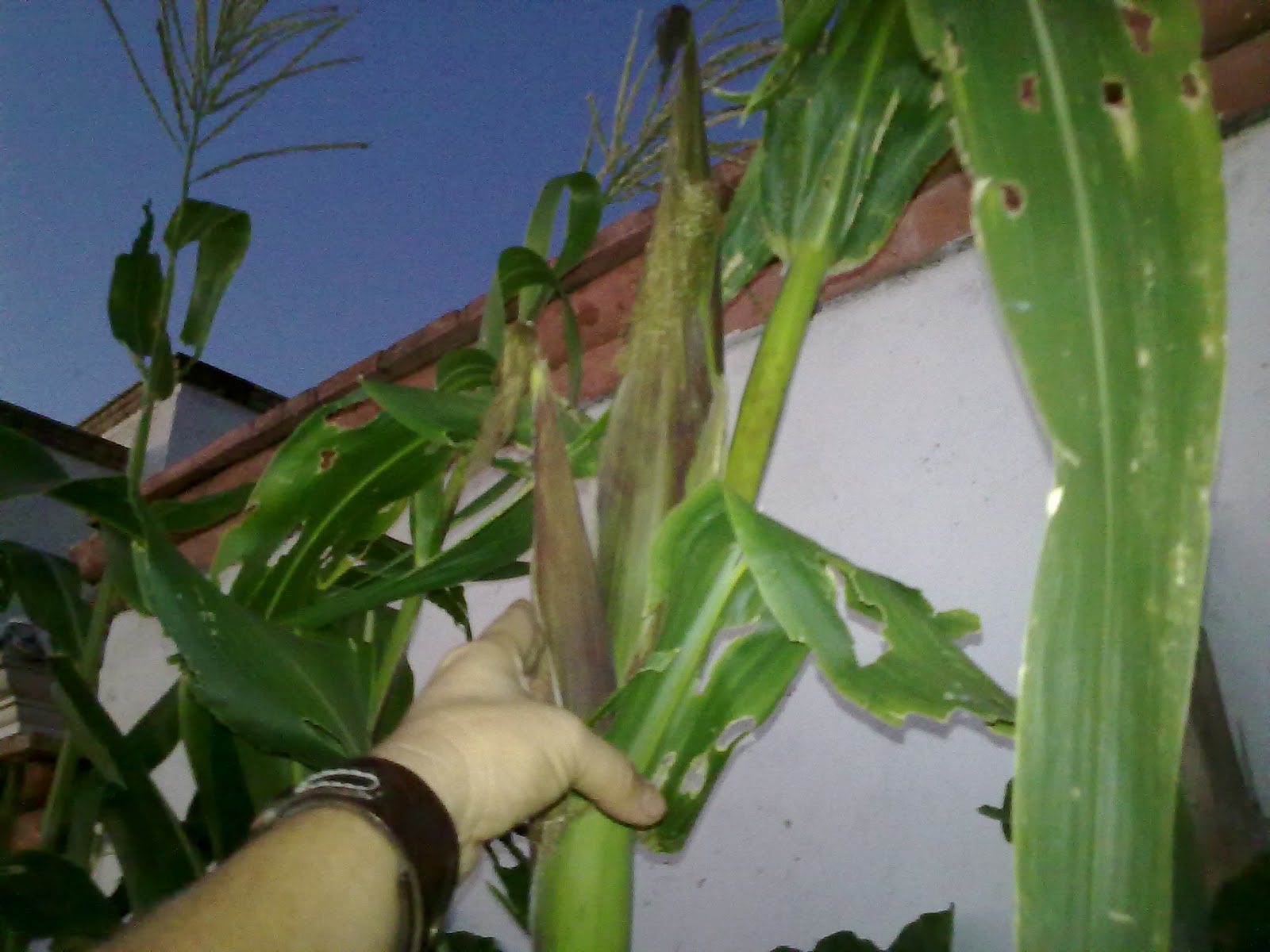 290920103829.jpg