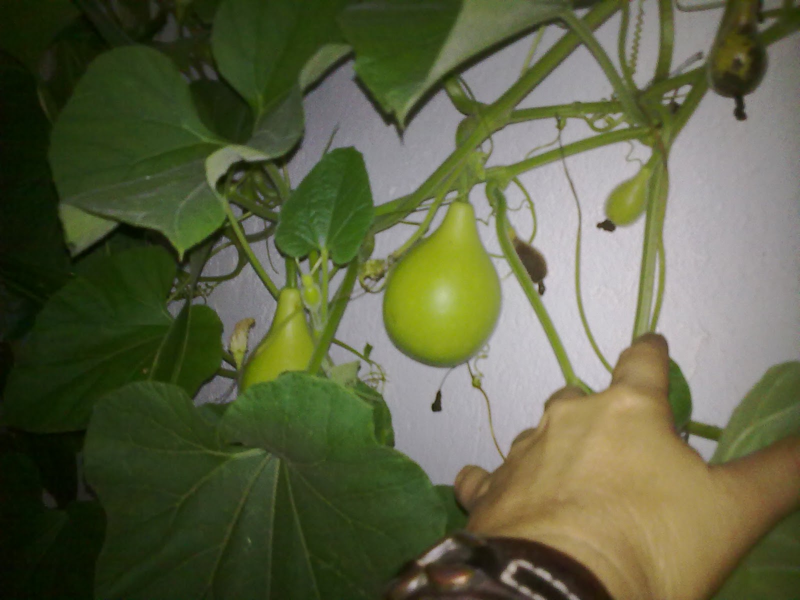 290920103830.jpg
