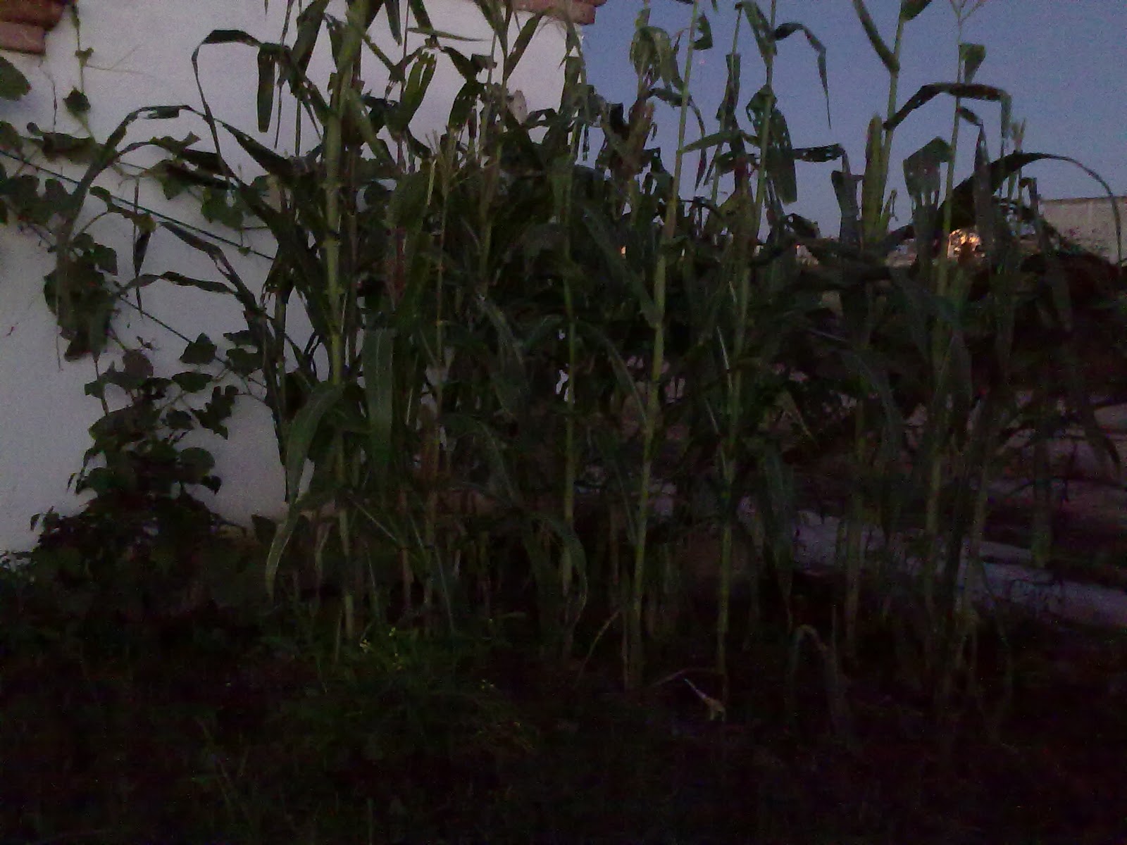 290920103831.jpg