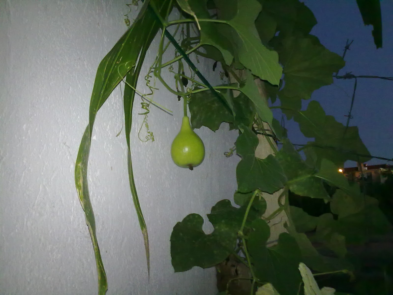 290920103832.jpg
