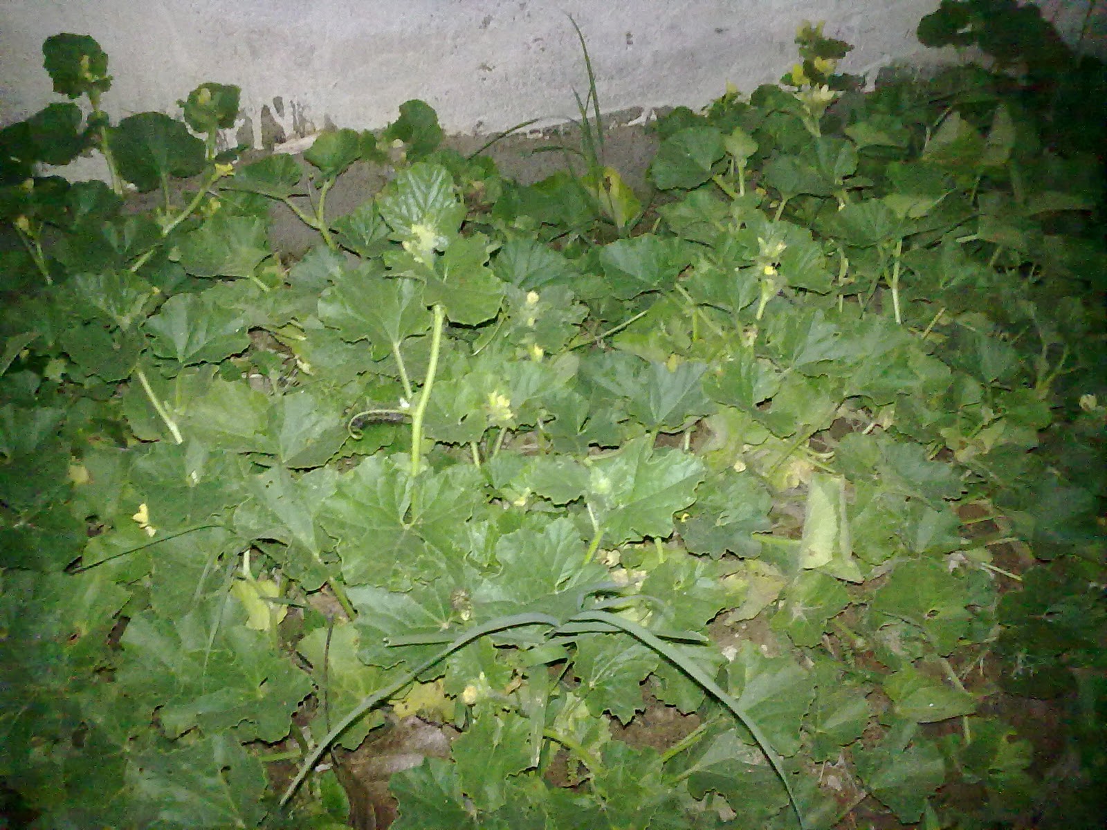 290920103834.jpg
