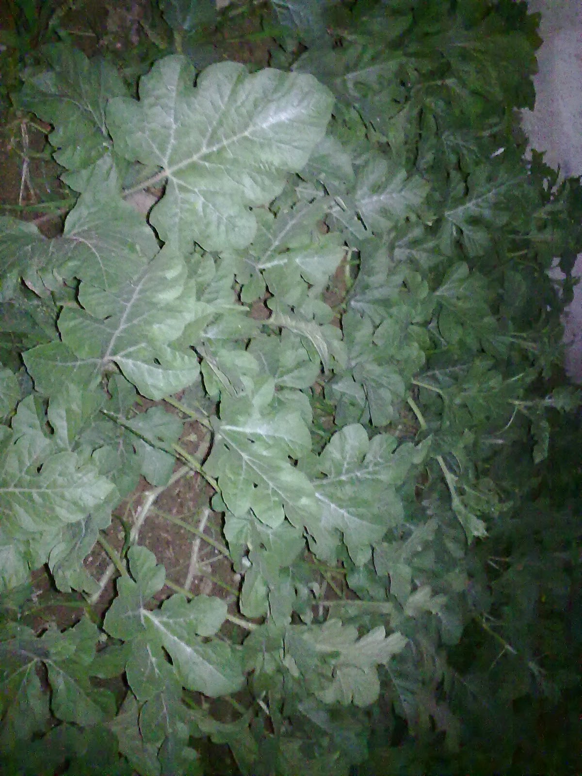 290920103835.jpg