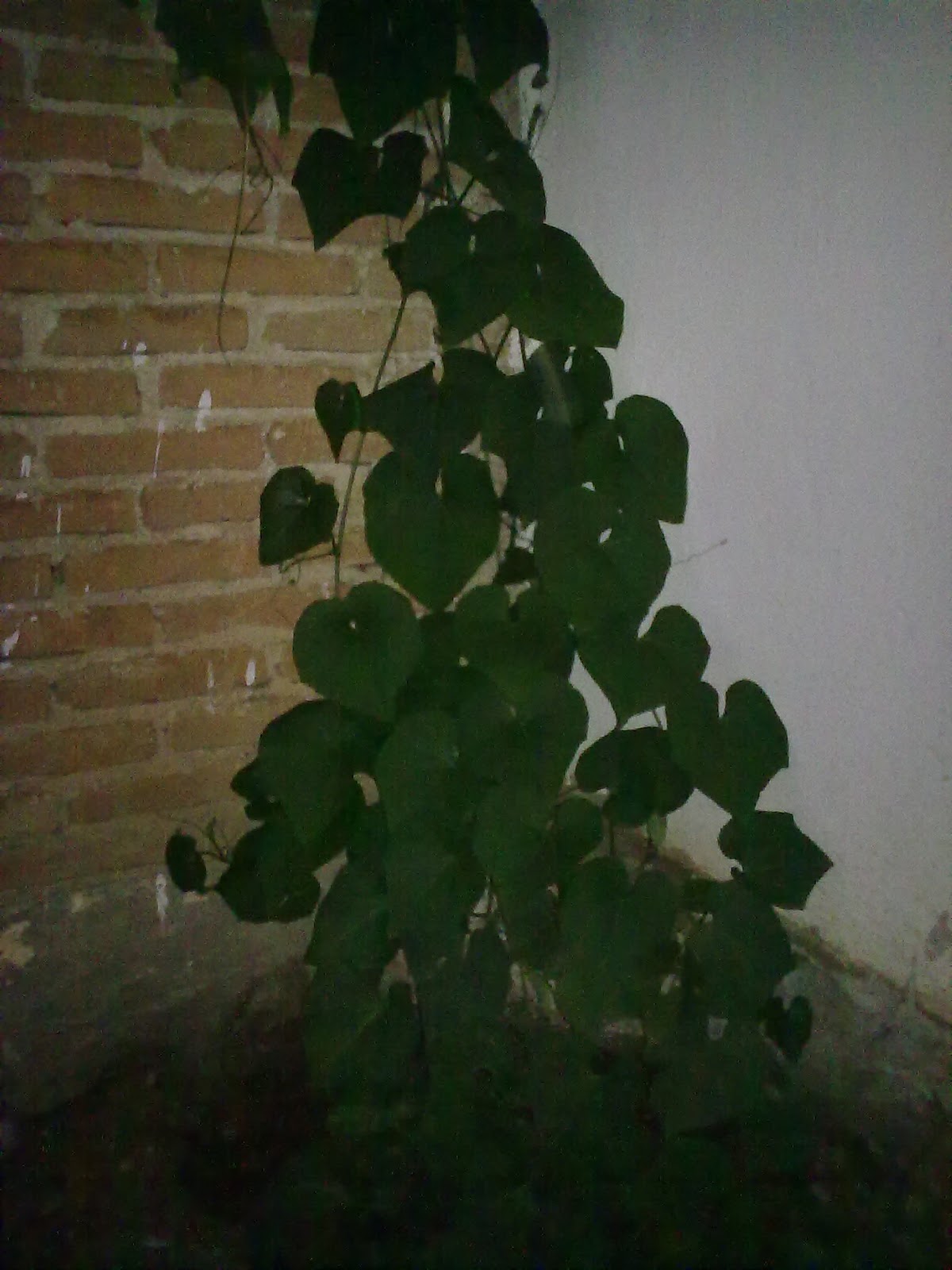 290920103836.jpg