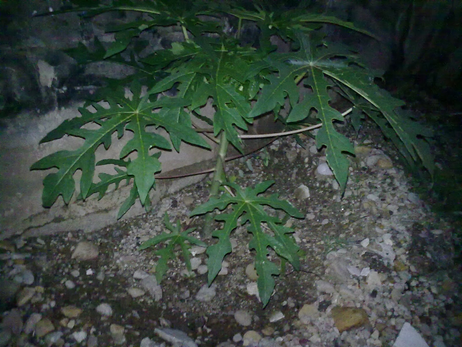290920103838.jpg