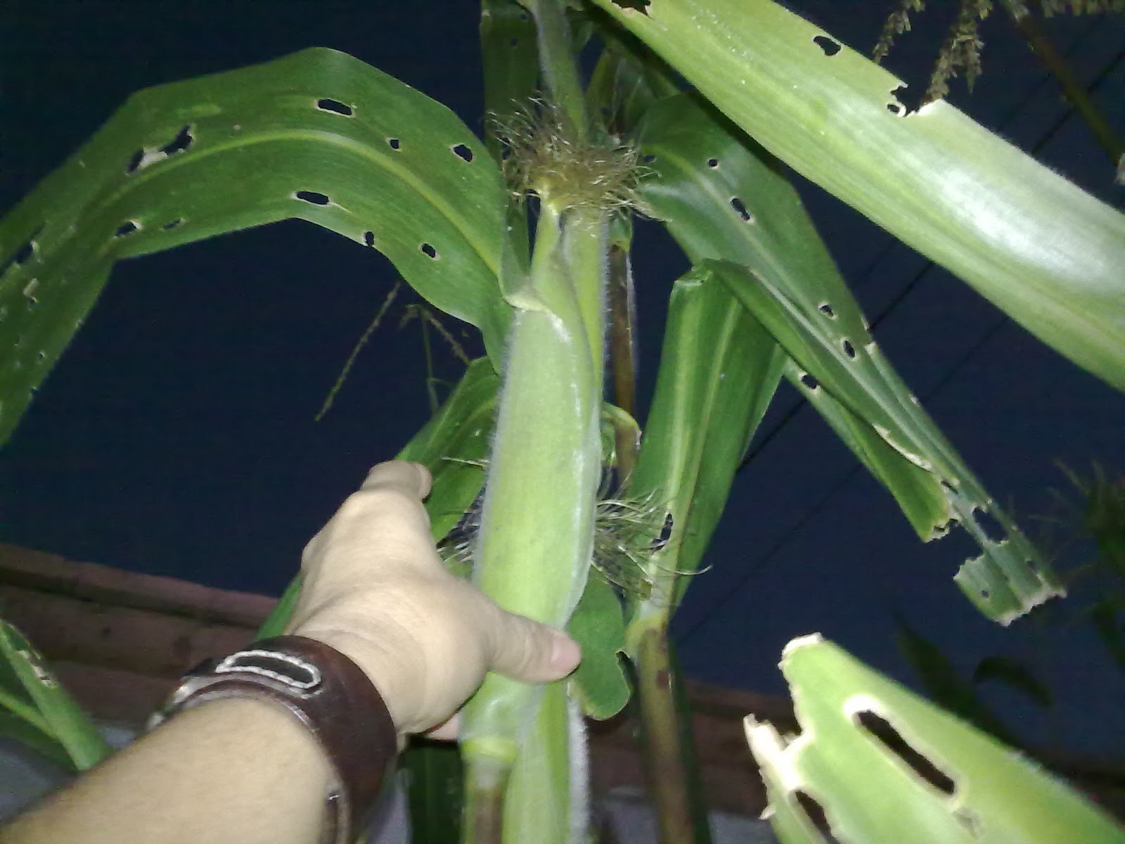 290920103839.jpg