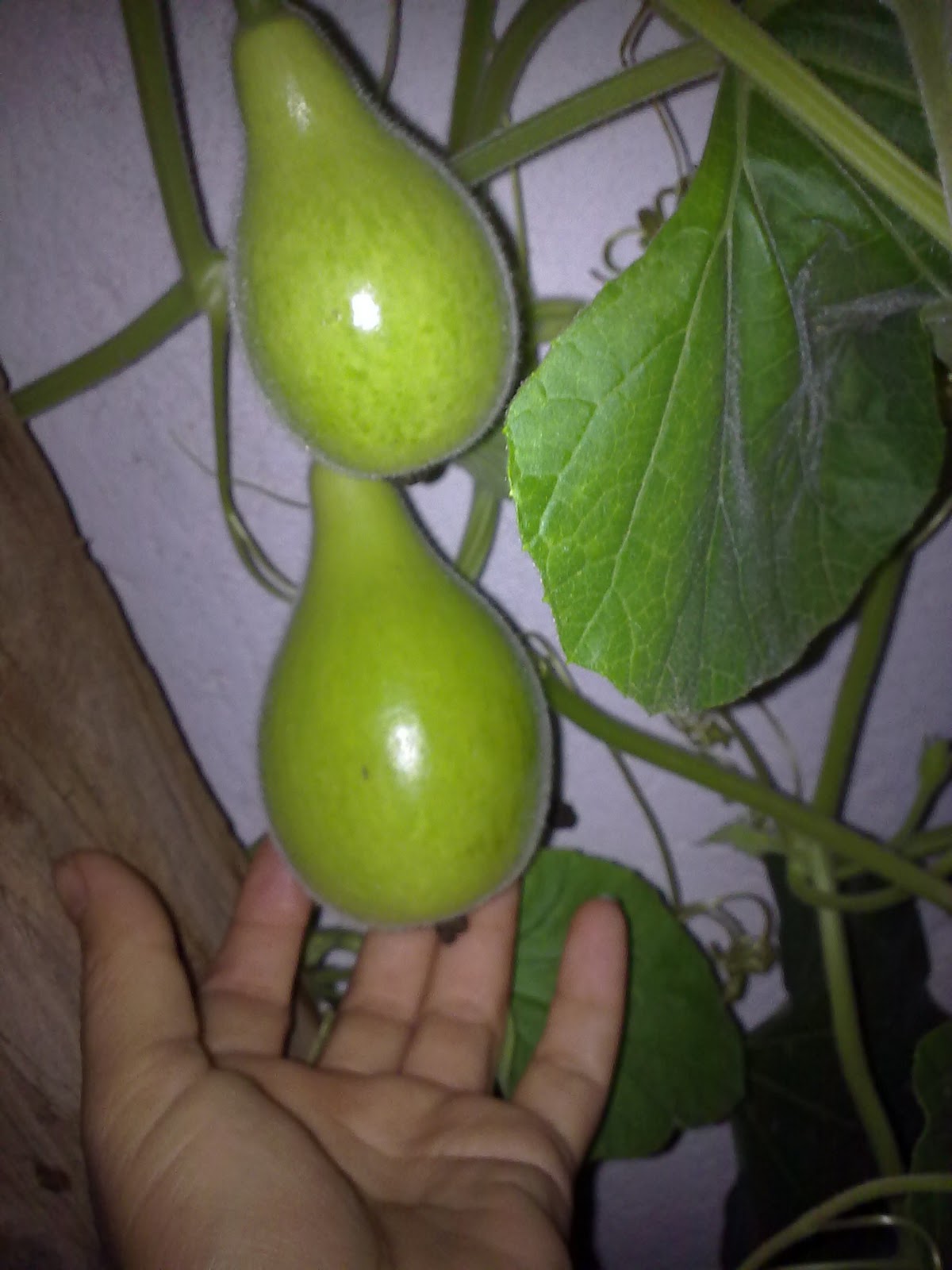 290920103841.jpg