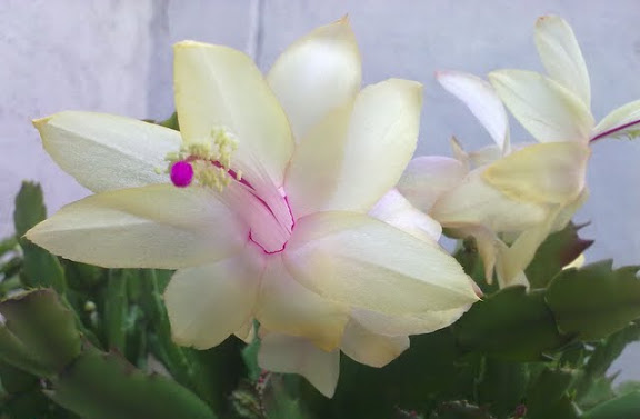 291020114635.jpg