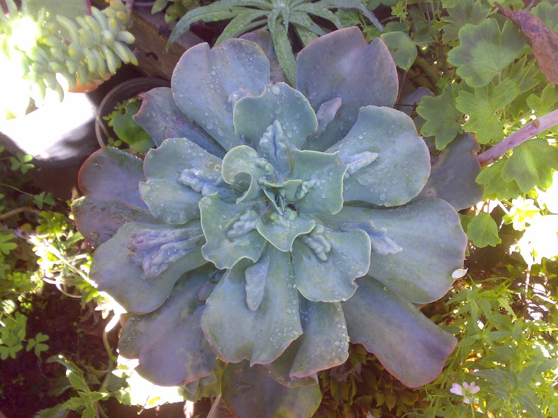 2910201214663.jpg