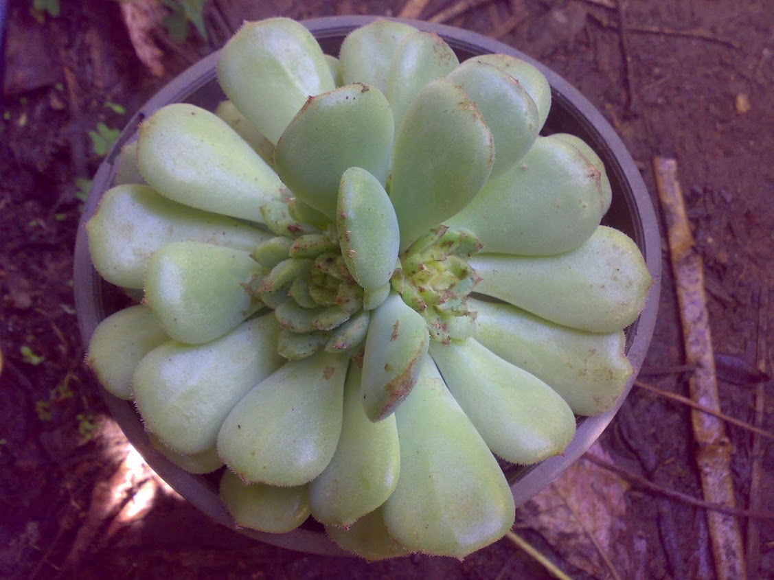 2910201214664.jpg