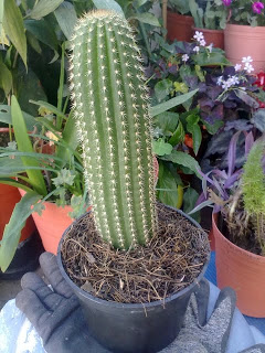 29112011062.jpg