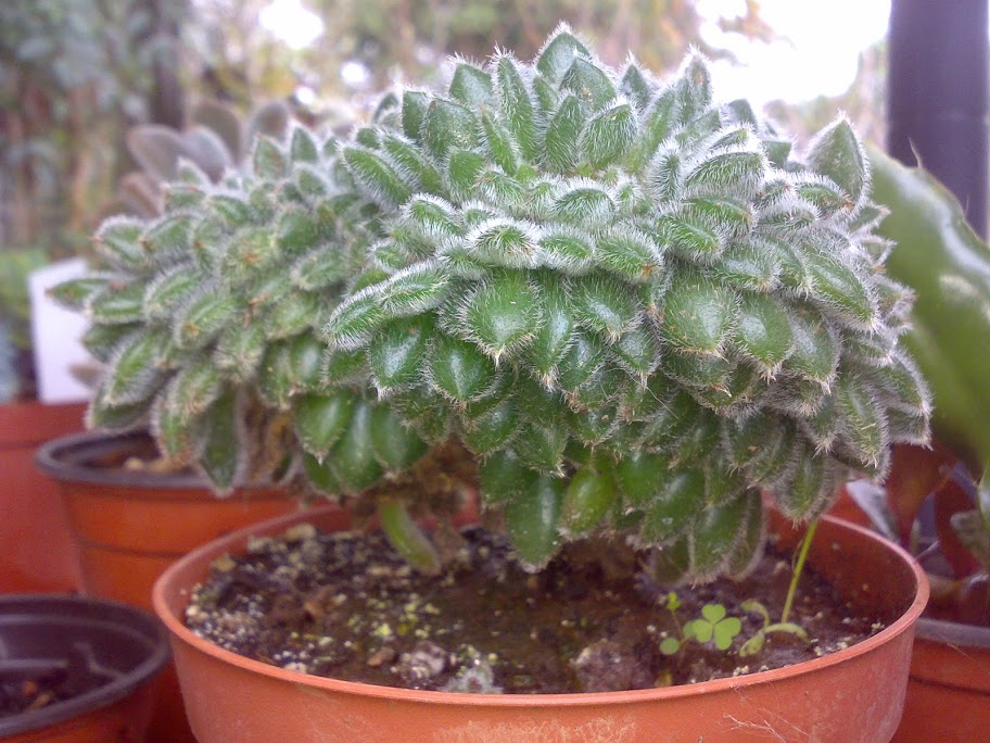 2911201215043.jpg