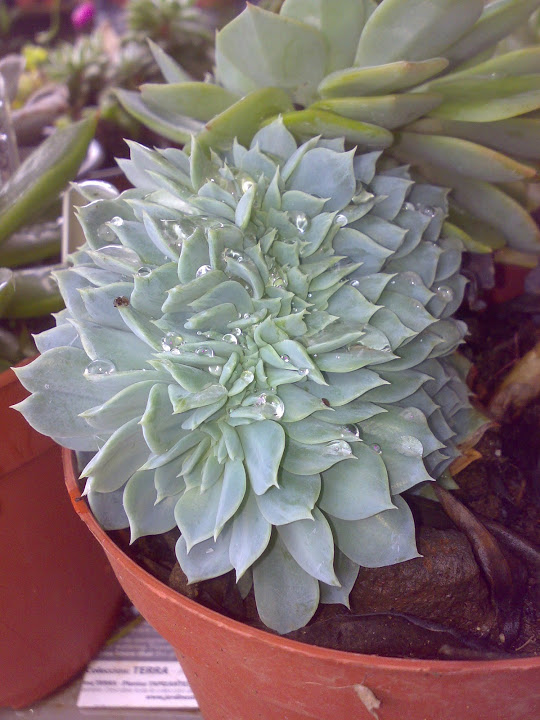2911201215044.jpg