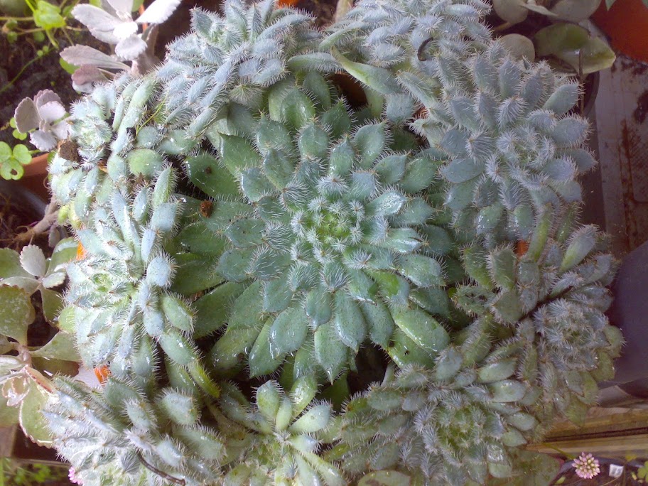 2911201215046.jpg