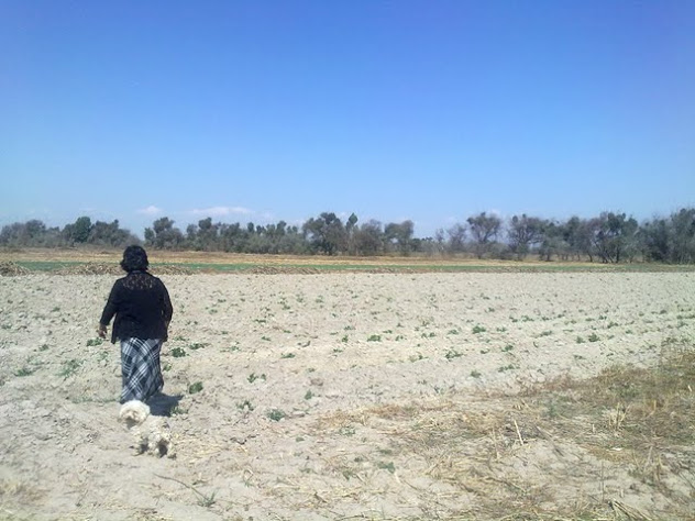 29122011278.jpg