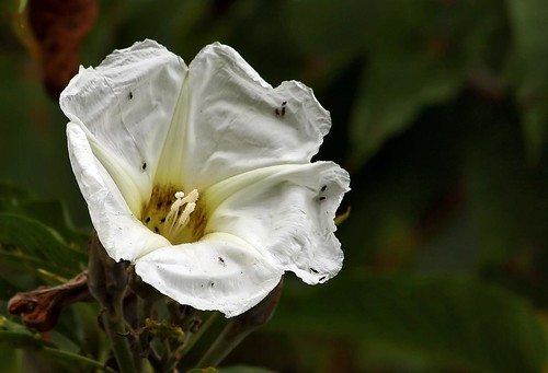 2946430780_e85200ab92.jpg