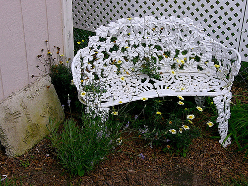 2985011847_edeaa7c492_o.jpg