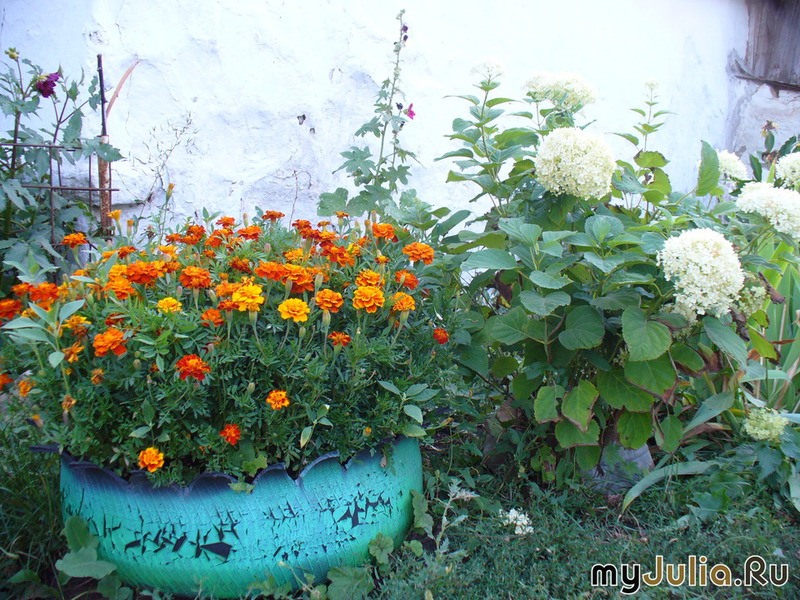 299335_1226-0x600.jpg