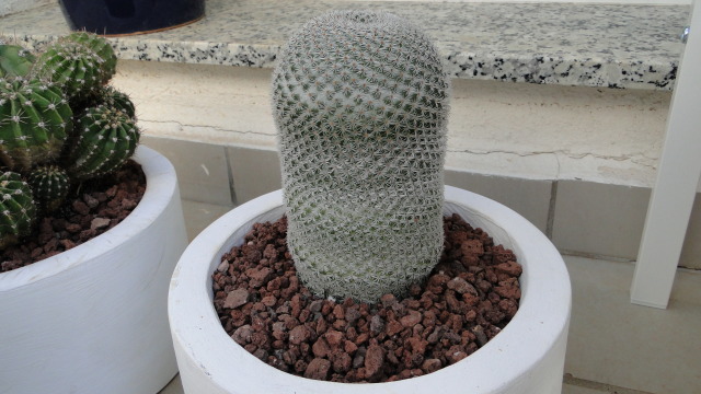 29c2f53.jpg