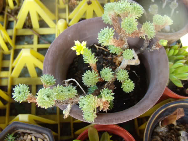 29cxu0g.jpg