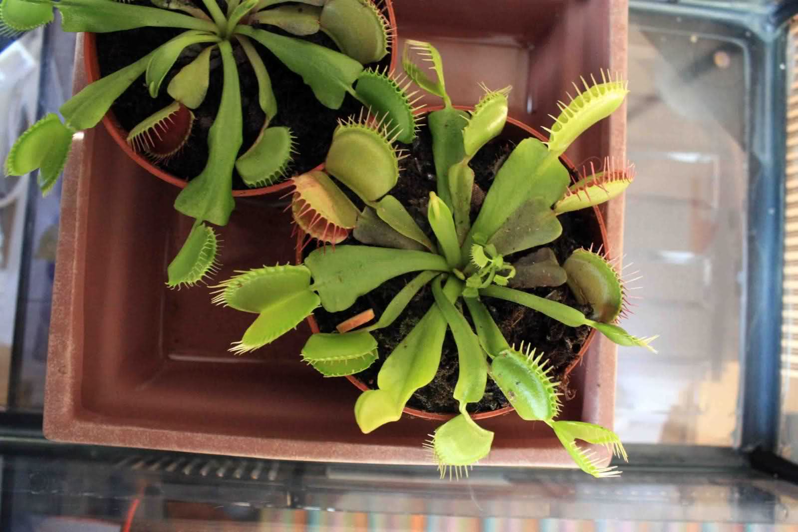 29g2343.jpg