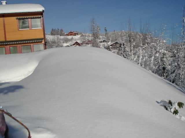 29m905j.jpg